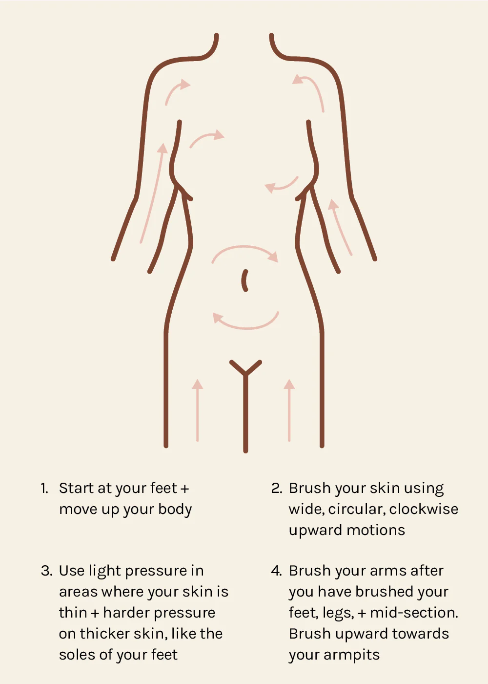 AOA Premium Body Dry Brush - Image 6