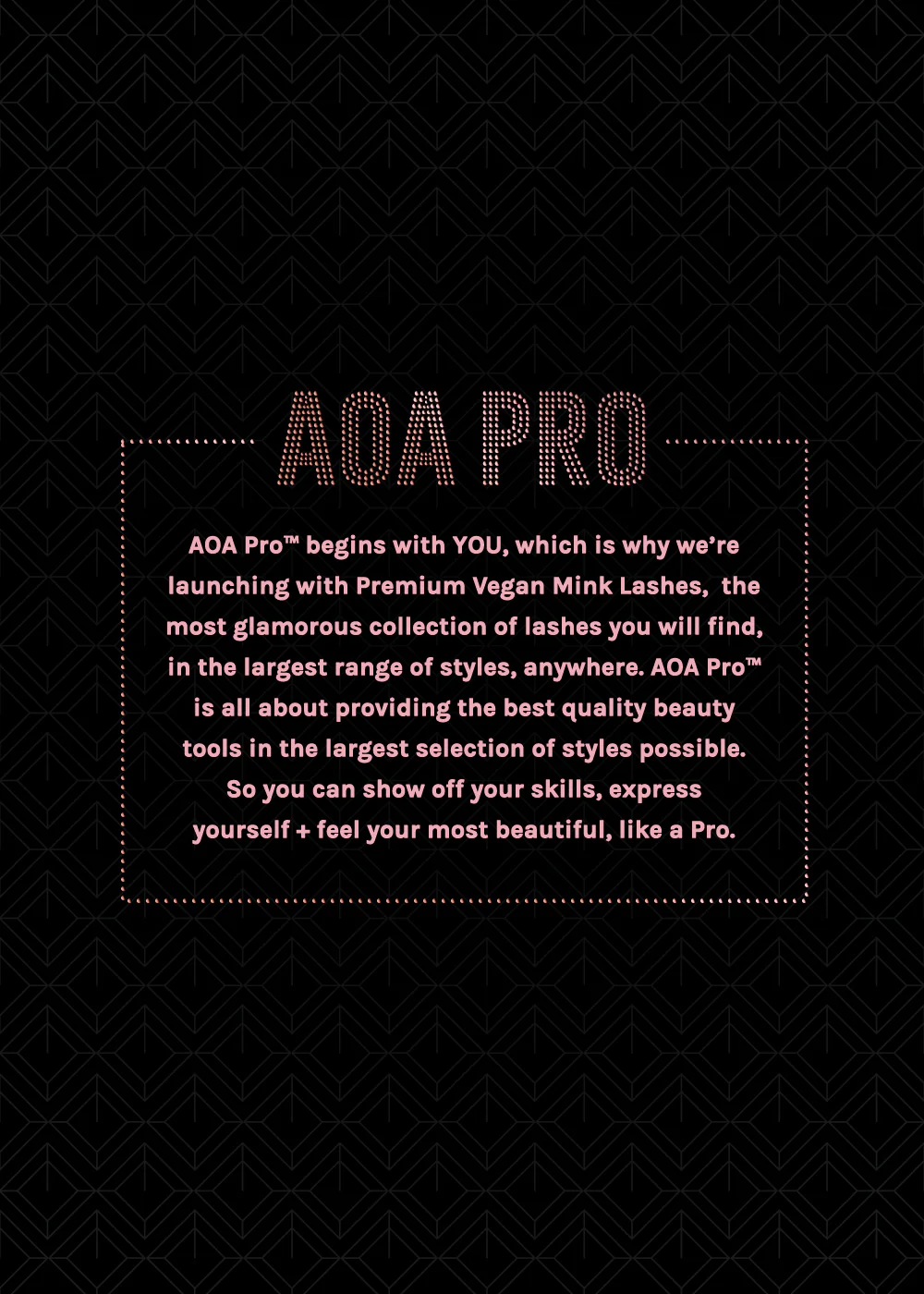 AOA Pro Magnetic Eyeshadow Palette - Black Small - Image 8