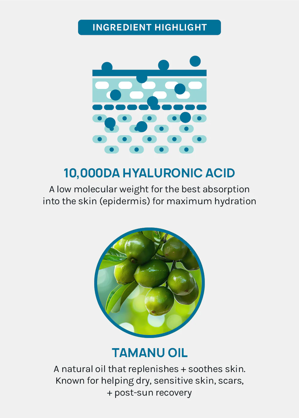 AOA Skin 10,000da Hyaluronic Acid + Tamanu Oil Sheet Mask - Image 6