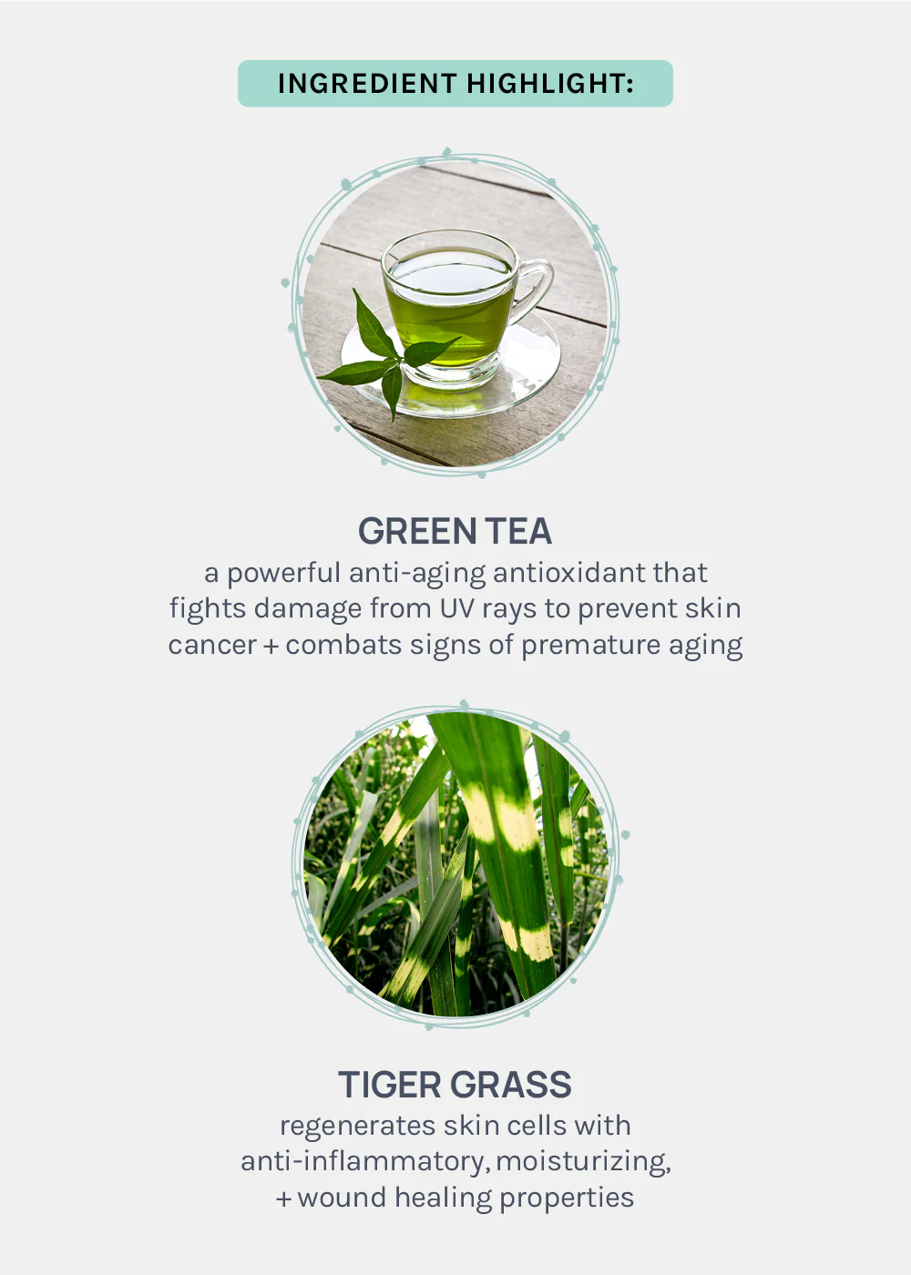 AOA Skin Green Tea Hand Sheet Mask - Image 4