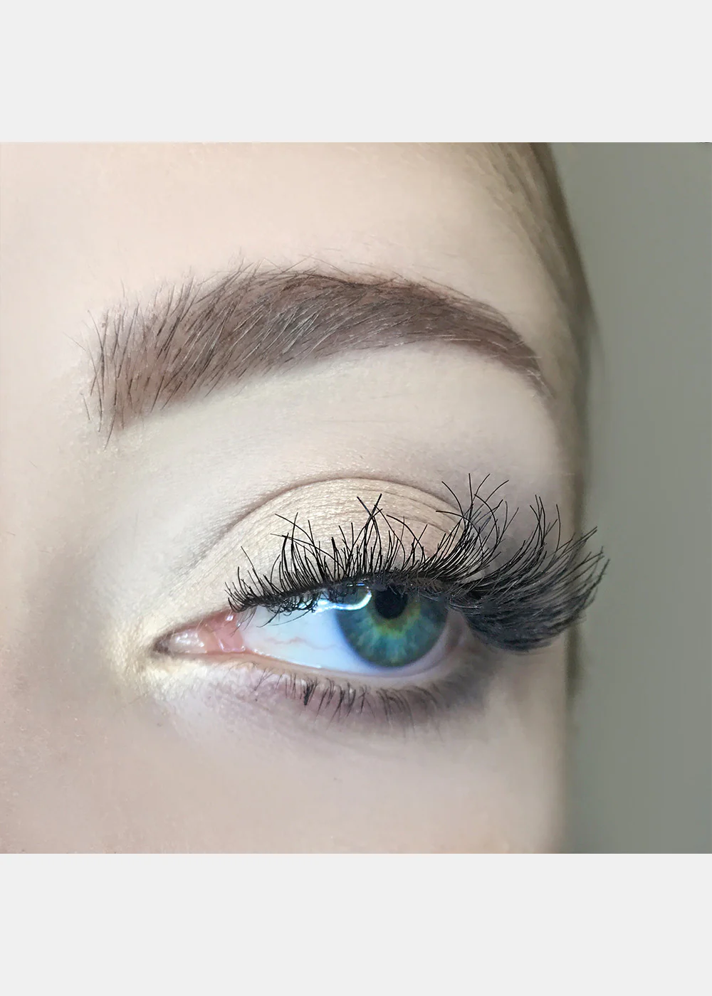 AOA Studio Eyelashes - Elle - Image 6