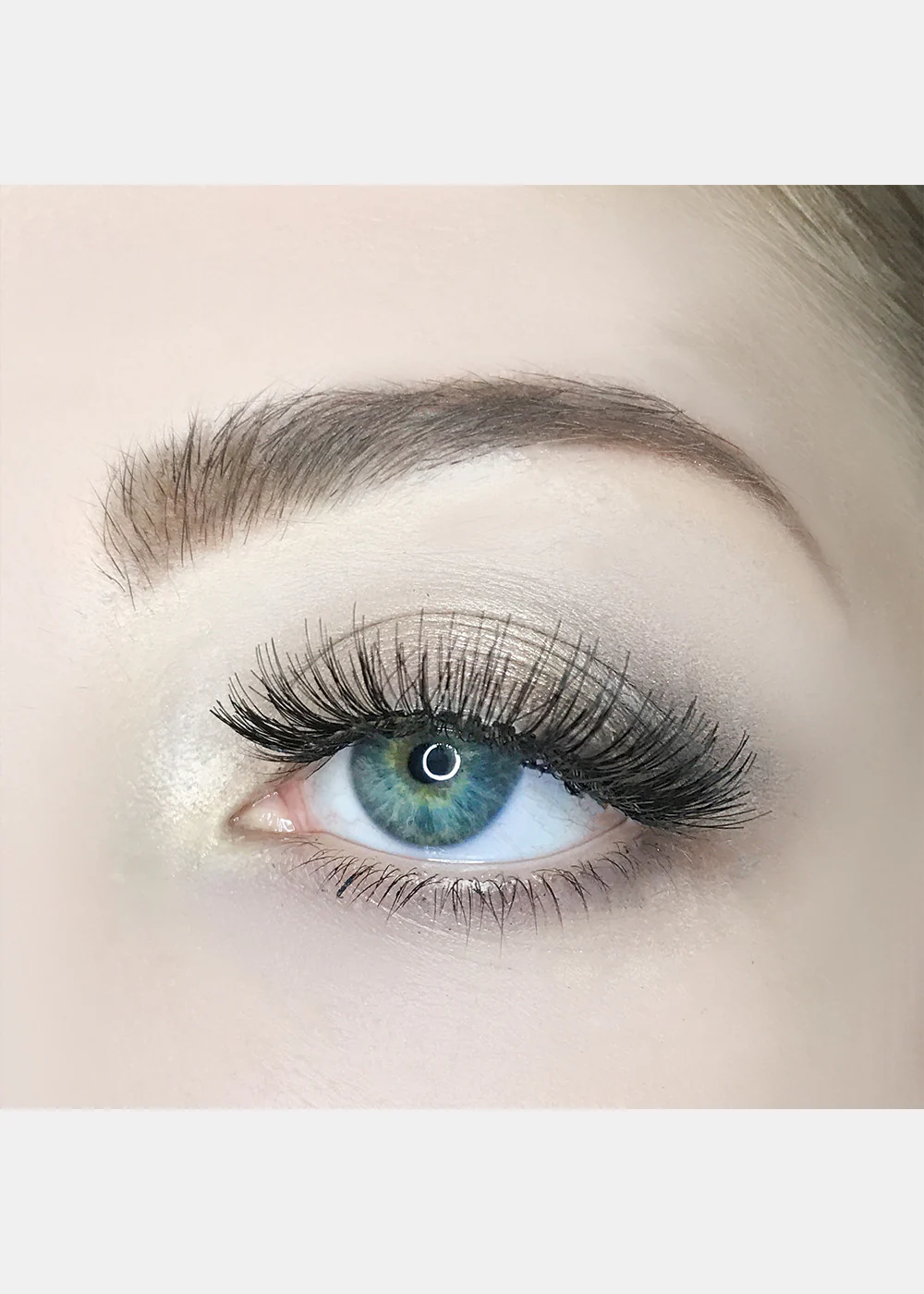 AOA Studio Eyelashes - Luella - Image 10