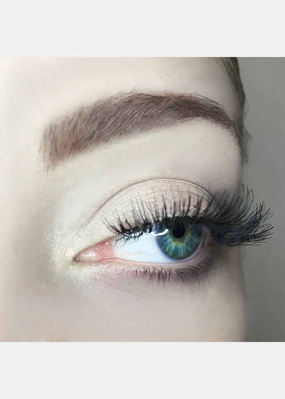 AOA Studio Eyelashes - Luella - Image 6