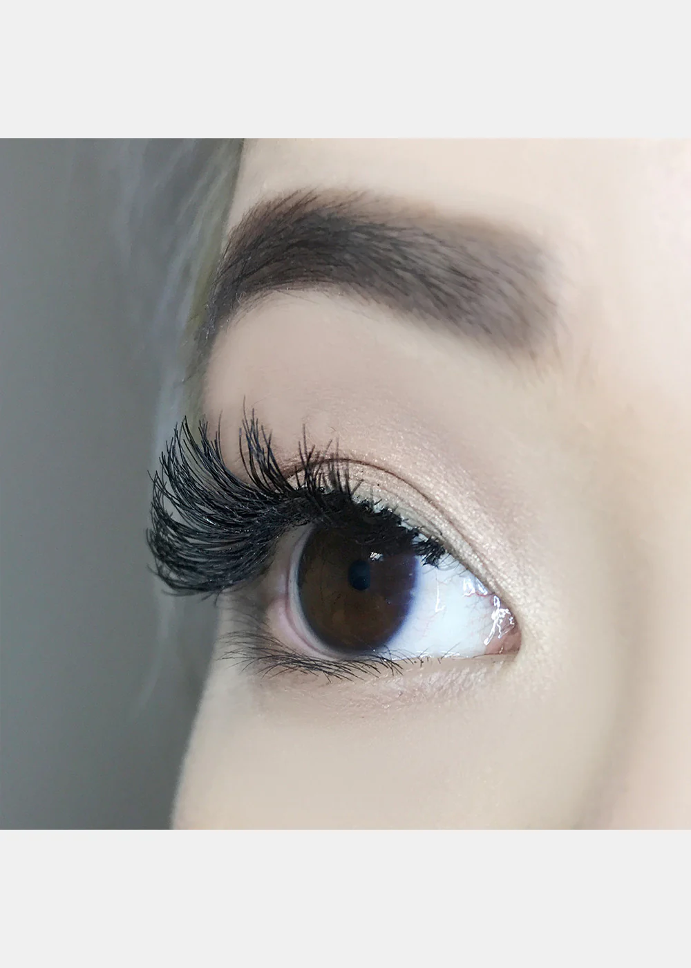 AOA Studio Eyelashes - Scarlette - Image 5