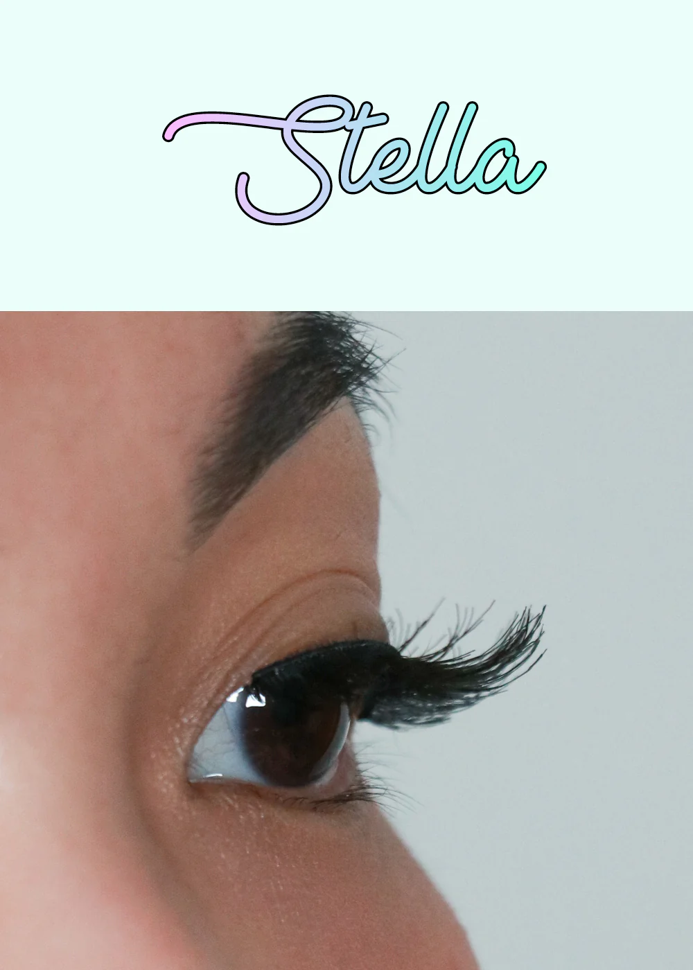 AOA Studio Eyelashes - Stella - Image 3