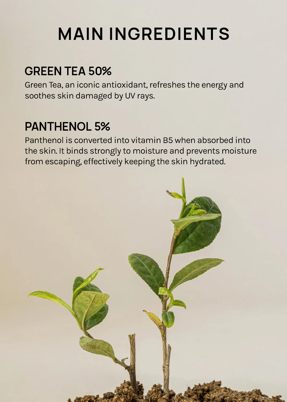 Beauty of Joseon Calming Serum: Green Tea + Panthenol 30ml - Image 4