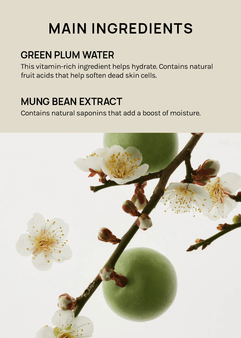 Beauty of Joseon Green Plum Refreshing Cleanser 100ml - Image 4
