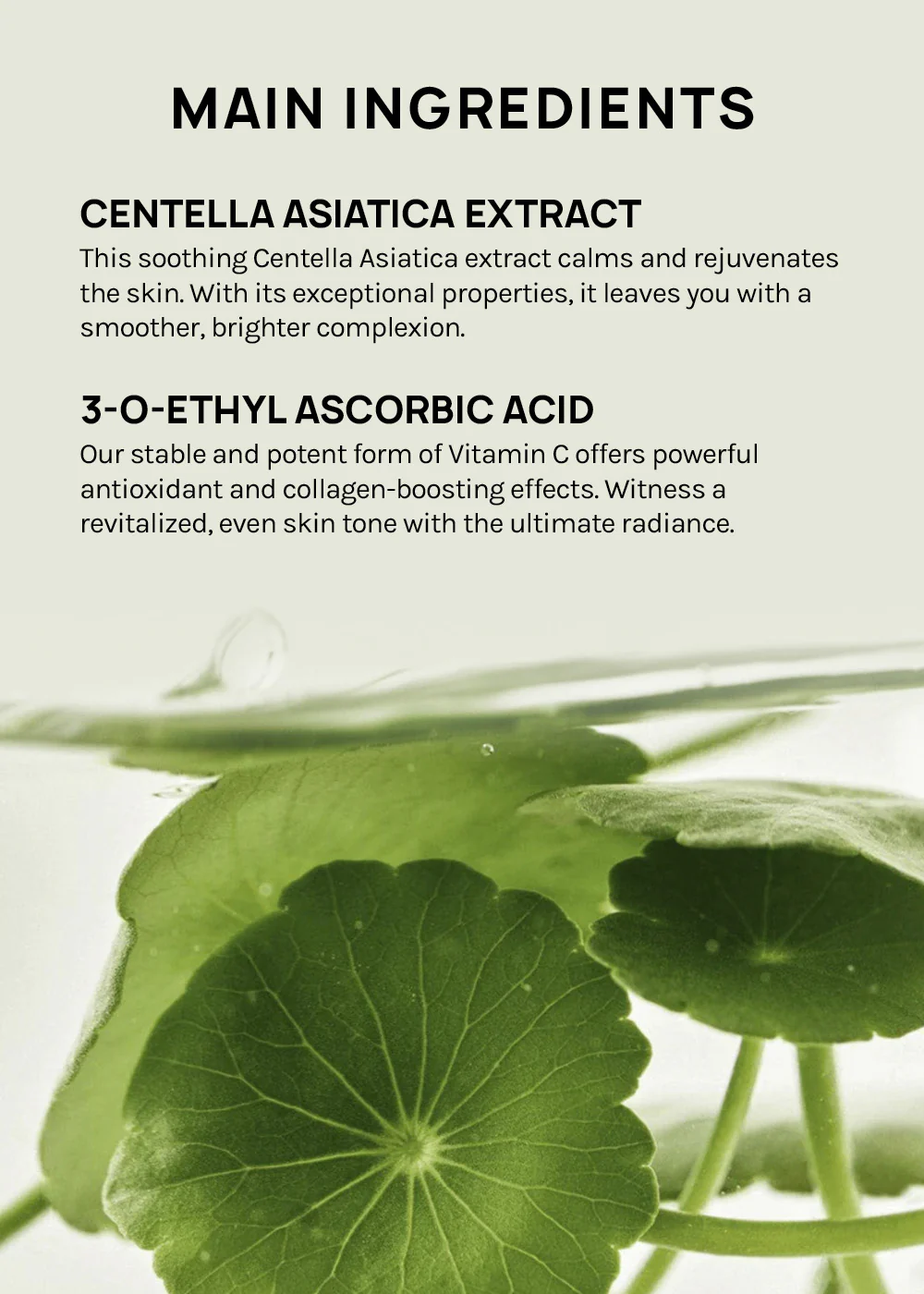 Beauty of Joseon Light On Serum: Centella + Vita C 30ml - Image 4