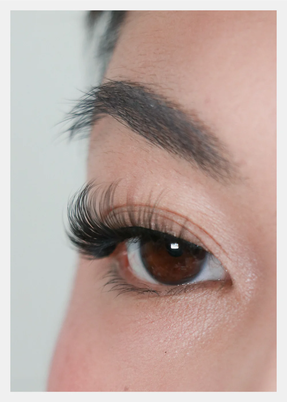 D-LUX Curl Premium Faux Mink Lashes - Mae - Image 3