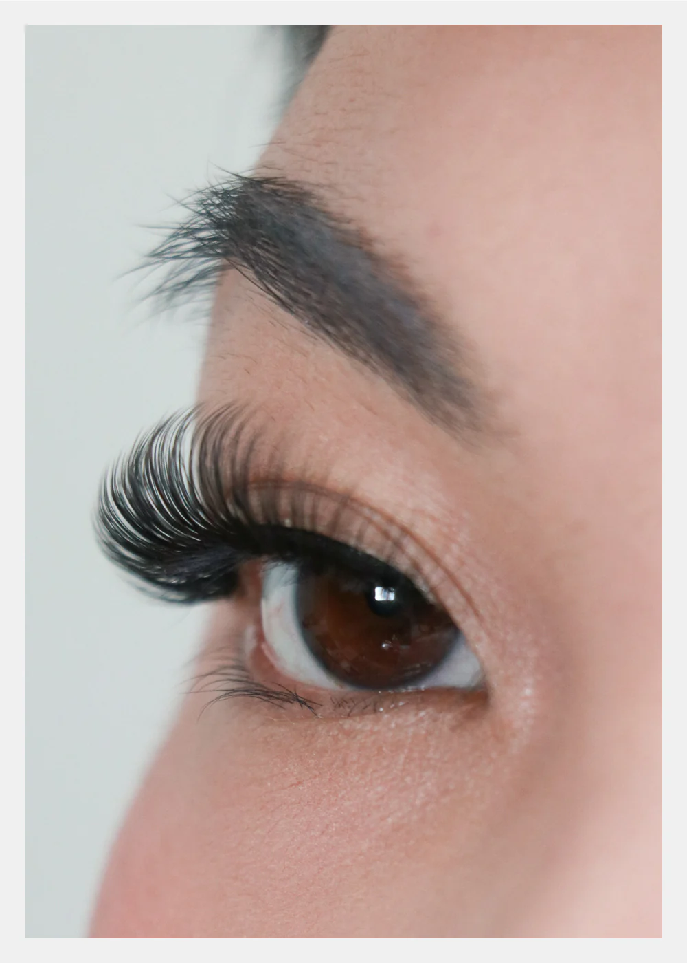 D-LUX Curl Premium Faux Mink Lashes - Sophia - Image 3