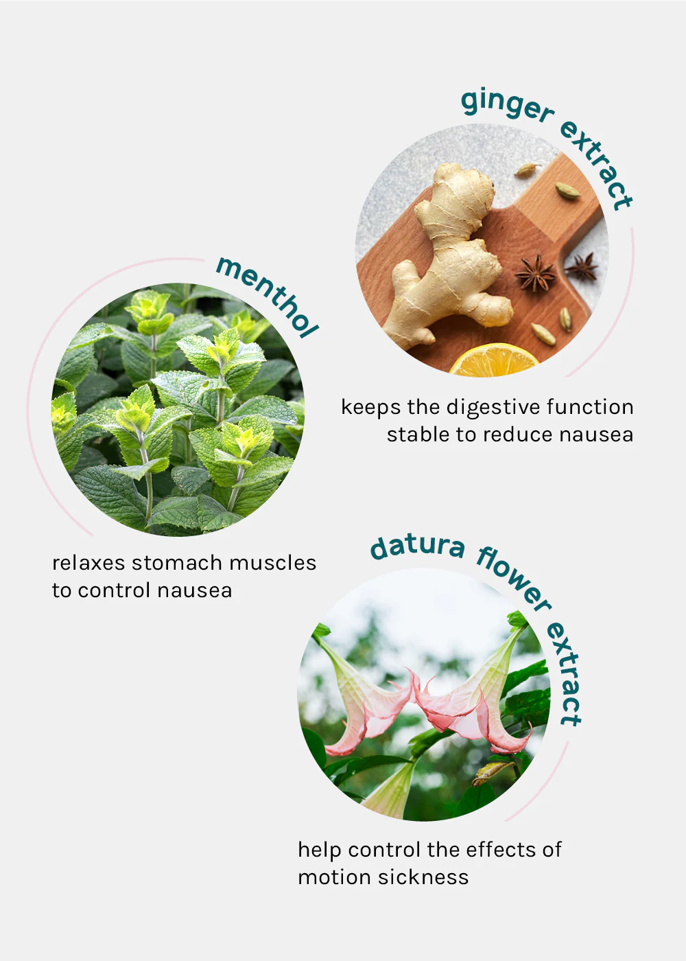 Motion Sickness Patches - Image 6
